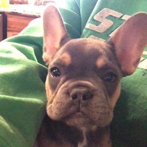 Meet your Posher, Kelly